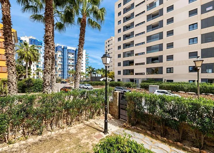 Tornado Sunrise تورّيفيِخا